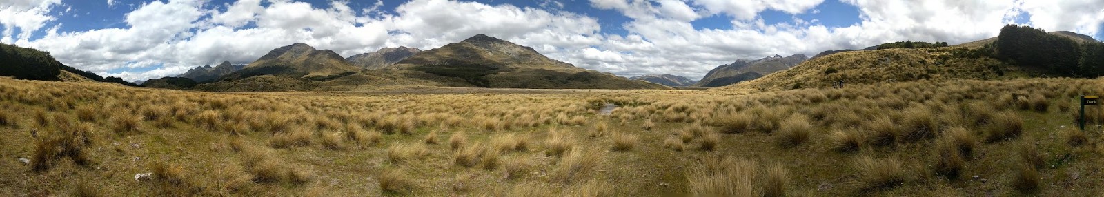 Tussocks (Grasbüschel)